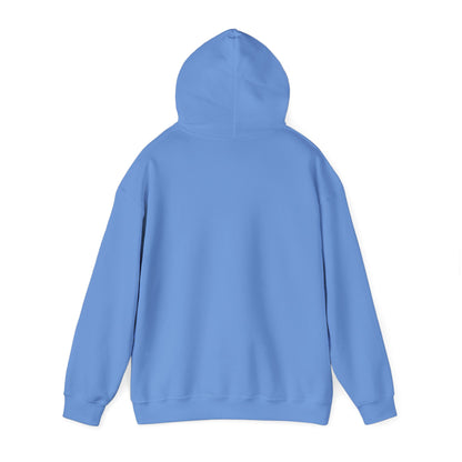 "Live By the Kingdom Not the World Colossians 3:2" Unisex Heavy Blend™ Hoodies - The Shield of Light