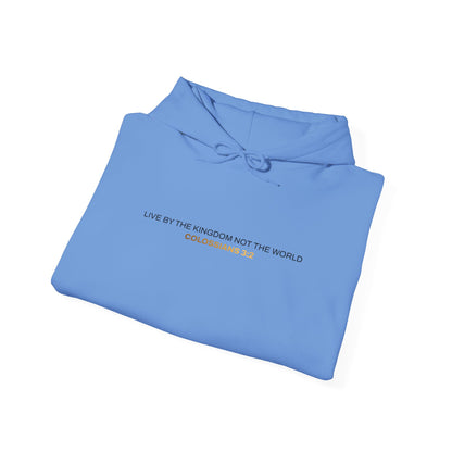 "Live By the Kingdom Not the World Colossians 3:2" Unisex Heavy Blend™ Hoodies - The Shield of Light