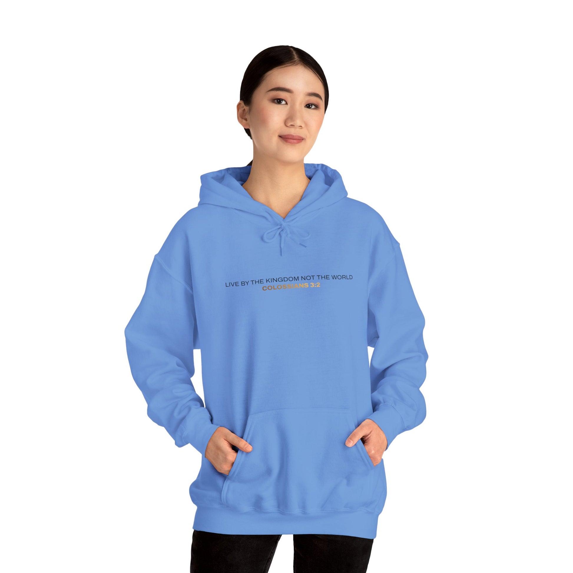 "Live By the Kingdom Not the World Colossians 3:2" Unisex Heavy Blend™ Hoodies - The Shield of Light