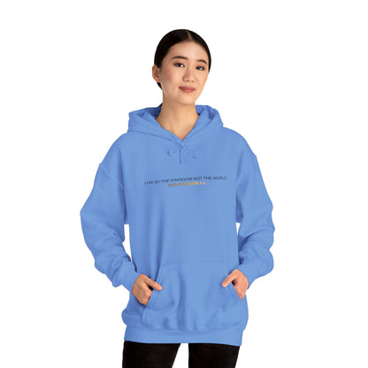 "Live By the Kingdom Not the World Colossians 3:2" Unisex Heavy Blend™ Hoodies - The Shield of Light