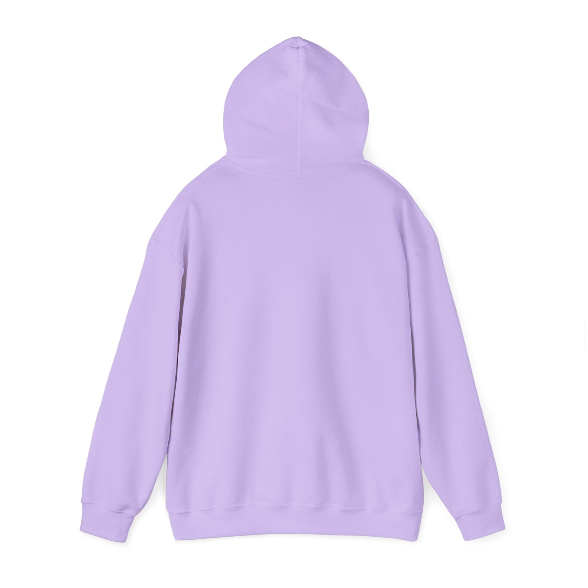 "Live By the Kingdom Not the World Colossians 3:2" Unisex Heavy Blend™ Hoodies - The Shield of Light