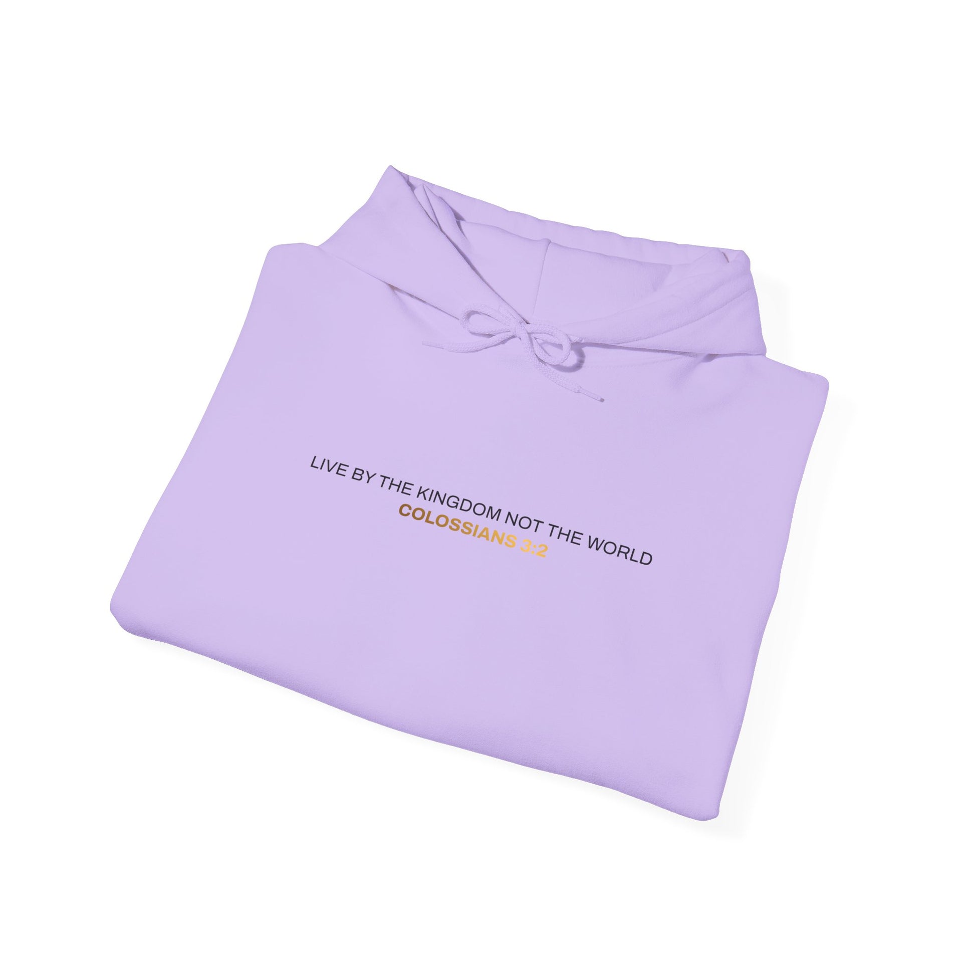 "Live By the Kingdom Not the World Colossians 3:2" Unisex Heavy Blend™ Hoodies - The Shield of Light