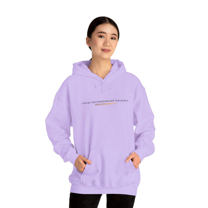 "Live By the Kingdom Not the World Colossians 3:2" Unisex Heavy Blend™ Hoodies - The Shield of Light