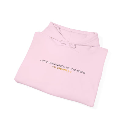"Live By the Kingdom Not the World Colossians 3:2" Unisex Heavy Blend™ Hoodies - The Shield of Light