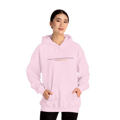 "Live By the Kingdom Not the World Colossians 3:2" Unisex Heavy Blend™ Hoodies - The Shield of Light