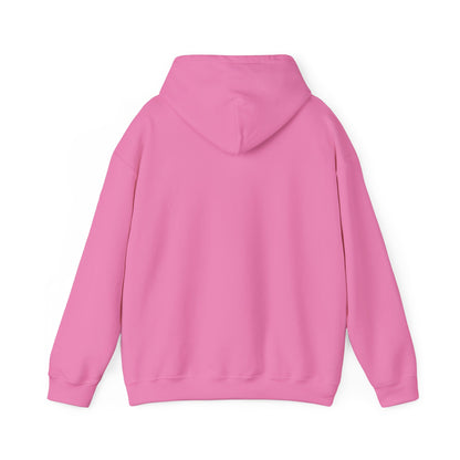"Live By the Kingdom Not the World Colossians 3:2" Unisex Heavy Blend™ Hoodies - The Shield of Light