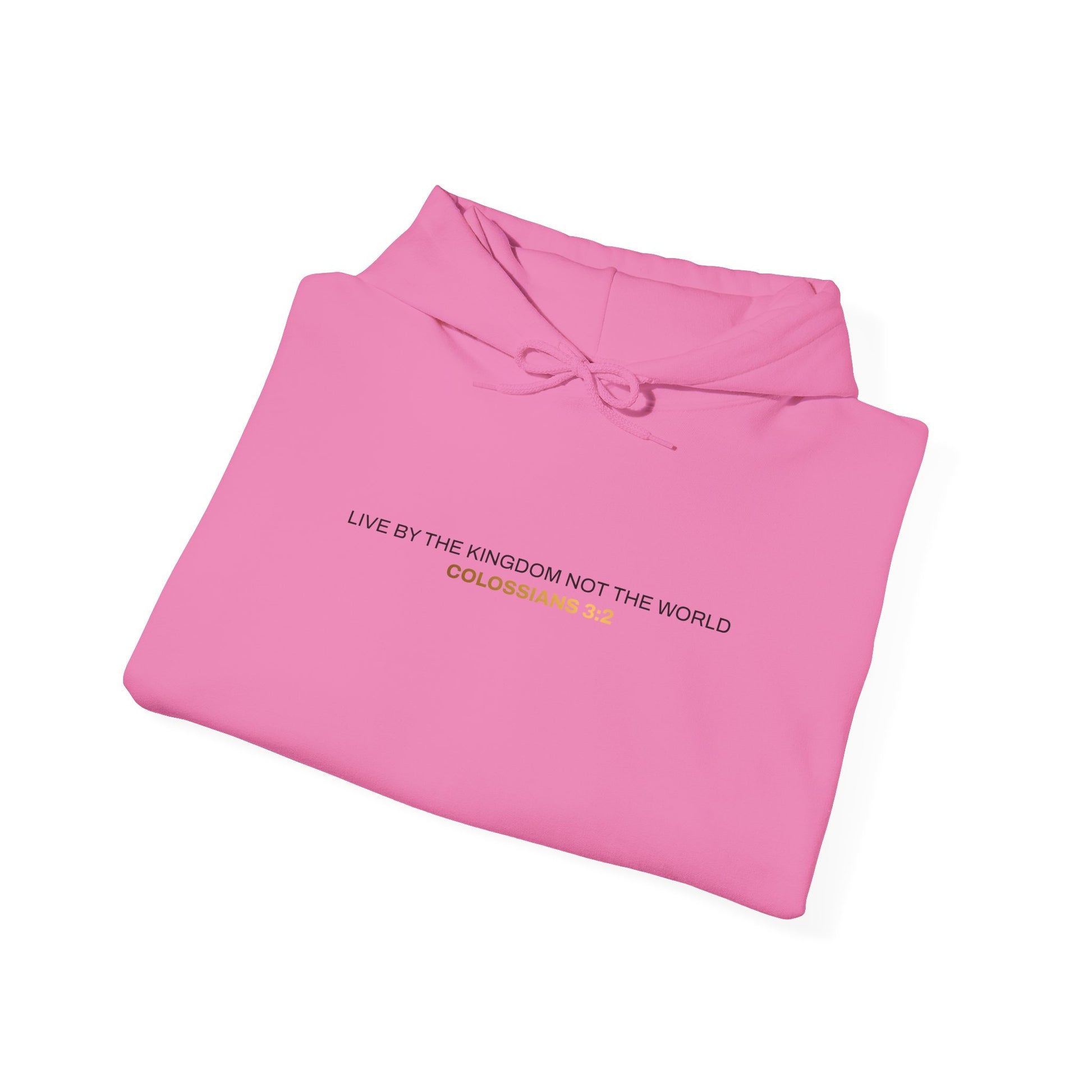 "Live By the Kingdom Not the World Colossians 3:2" Unisex Heavy Blend™ Hoodies - The Shield of Light