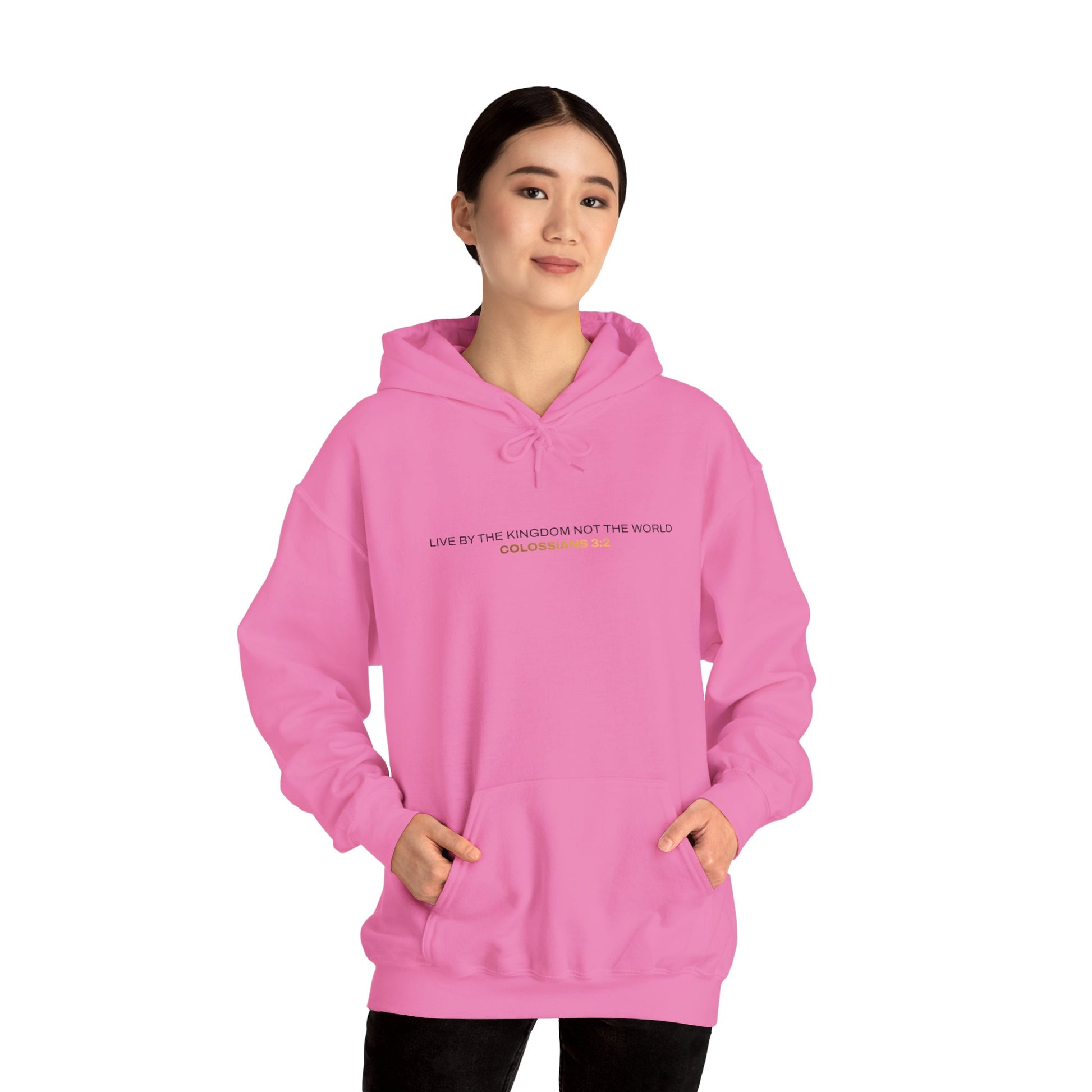 "Live By the Kingdom Not the World Colossians 3:2" Unisex Heavy Blend™ Hoodies - The Shield of Light
