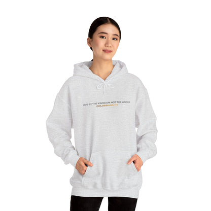 "Live By the Kingdom Not the World Colossians 3:2" Unisex Heavy Blend™ Hoodies - The Shield of Light