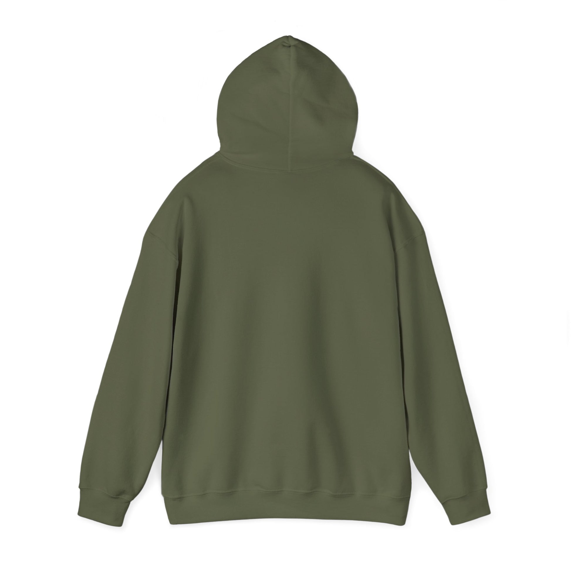 "Live By the Kingdom Not the World Colossians 3:2" Unisex Heavy Blend™ Hoodies - The Shield of Light