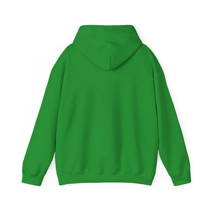 "Live By the Kingdom Not the World Colossians 3:2" Unisex Heavy Blend™ Hoodies - The Shield of Light
