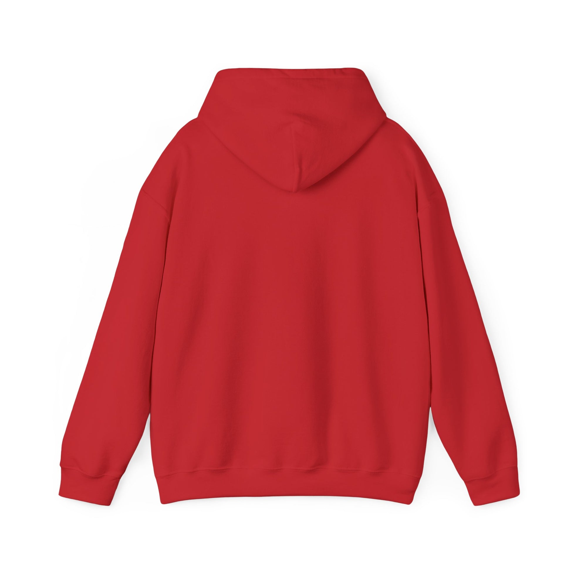 "Live By the Kingdom Not the World Colossians 3:2" Unisex Heavy Blend™ Hoodies - The Shield of Light