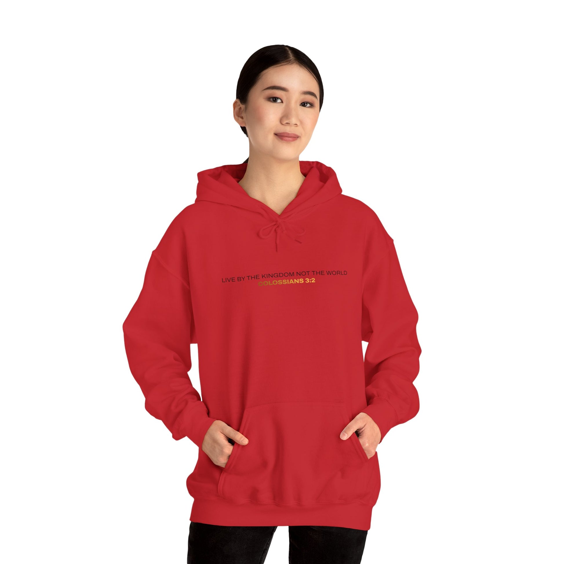 "Live By the Kingdom Not the World Colossians 3:2" Unisex Heavy Blend™ Hoodies - The Shield of Light