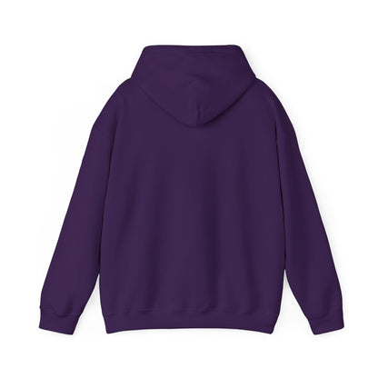 "Kingdom Standard" Unisex Heavy Blend™ Hoodies - The Shield of Light