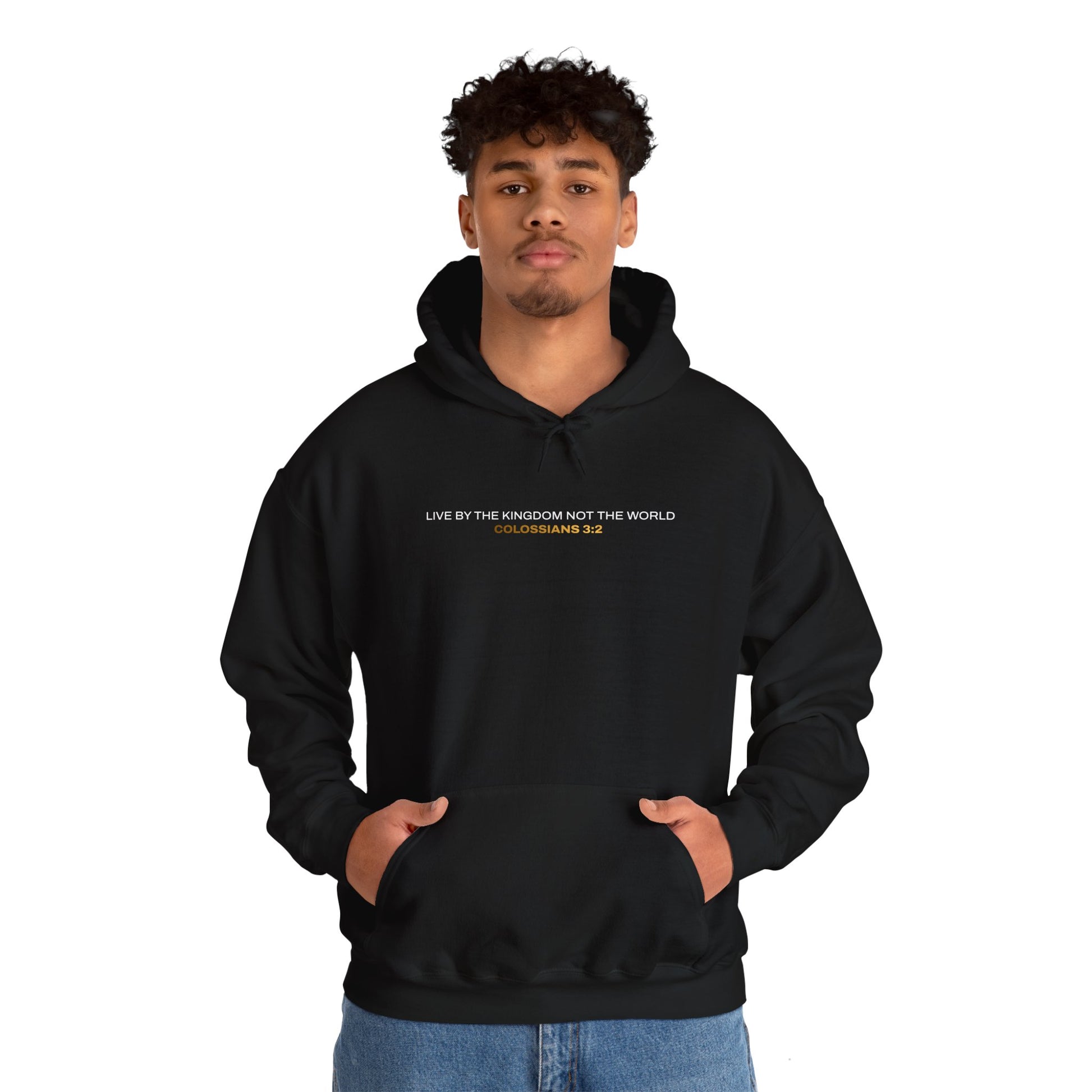 "Live By the Kingdom Not the World Colossians 3:2" Unisex Heavy Blend™ Hoodies - The Shield of Light