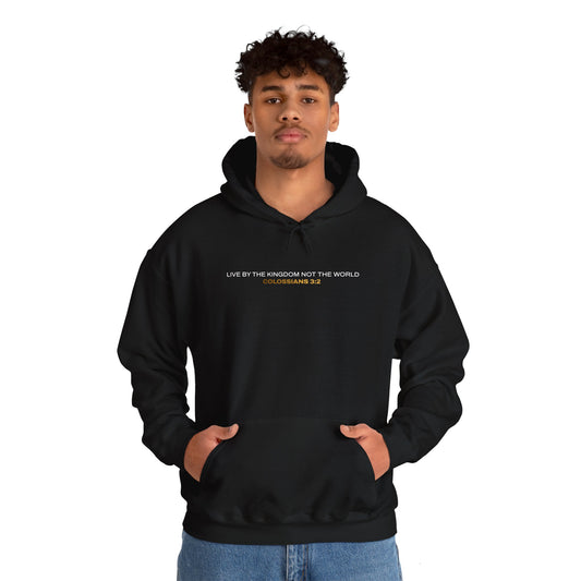 "Live By the Kingdom Not the World Colossians 3:2" Unisex Heavy Blend™ Hoodies - The Shield of Light