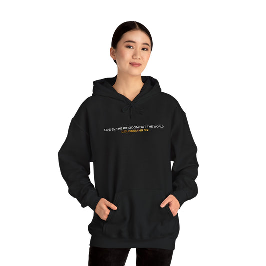 "Live By the Kingdom Not the World Colossians 3:2" Unisex Heavy Blend™ Hoodies - The Shield of Light