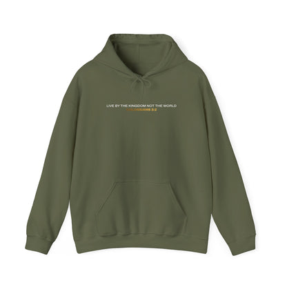 "Live By the Kingdom Not the World Colossians 3:2" Unisex Heavy Blend™ Hoodies - The Shield of Light