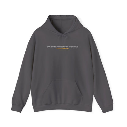 "Live By the Kingdom Not the World Colossians 3:2" Unisex Heavy Blend™ Hoodies - The Shield of Light