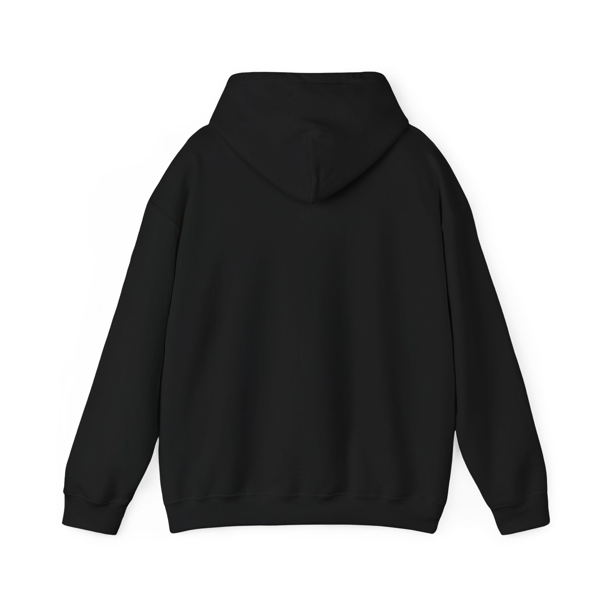 "Live By the Kingdom Not the World Colossians 3:2" Unisex Heavy Blend™ Hoodies - The Shield of Light