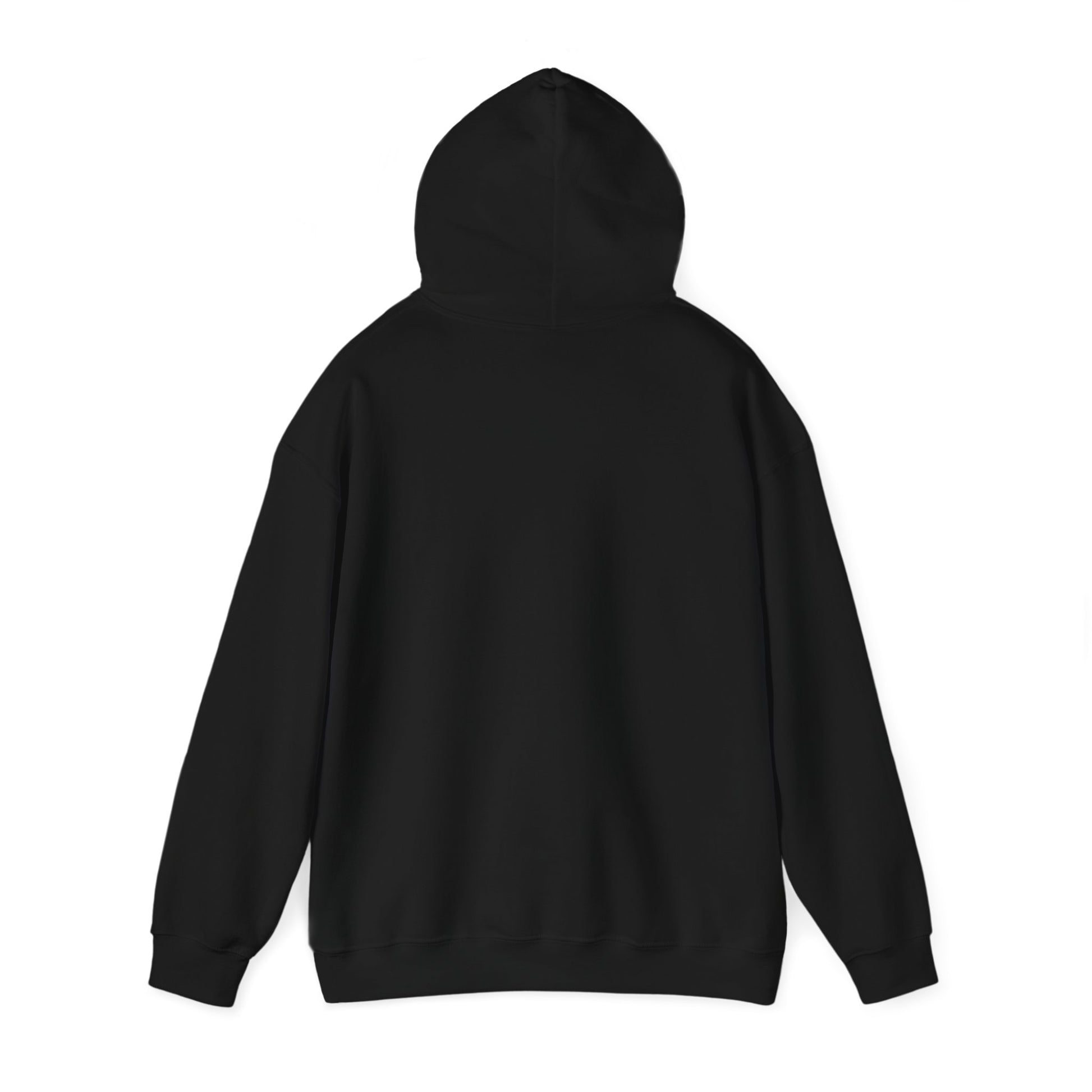 "Live By the Kingdom Not the World Colossians 3:2" Unisex Heavy Blend™ Hoodies - The Shield of Light