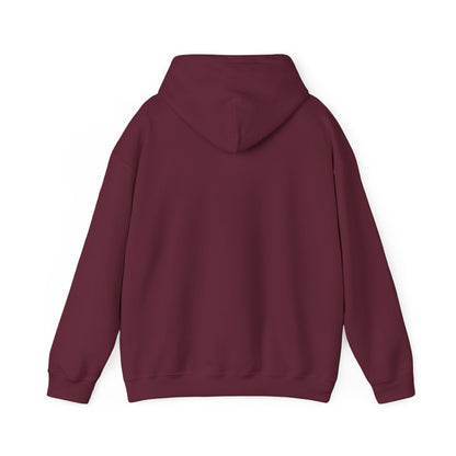 "Live By the Kingdom Not the World Colossians 3:2" Unisex Heavy Blend™ Hoodies - The Shield of Light