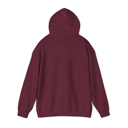 "Live By the Kingdom Not the World Colossians 3:2" Unisex Heavy Blend™ Hoodies - The Shield of Light