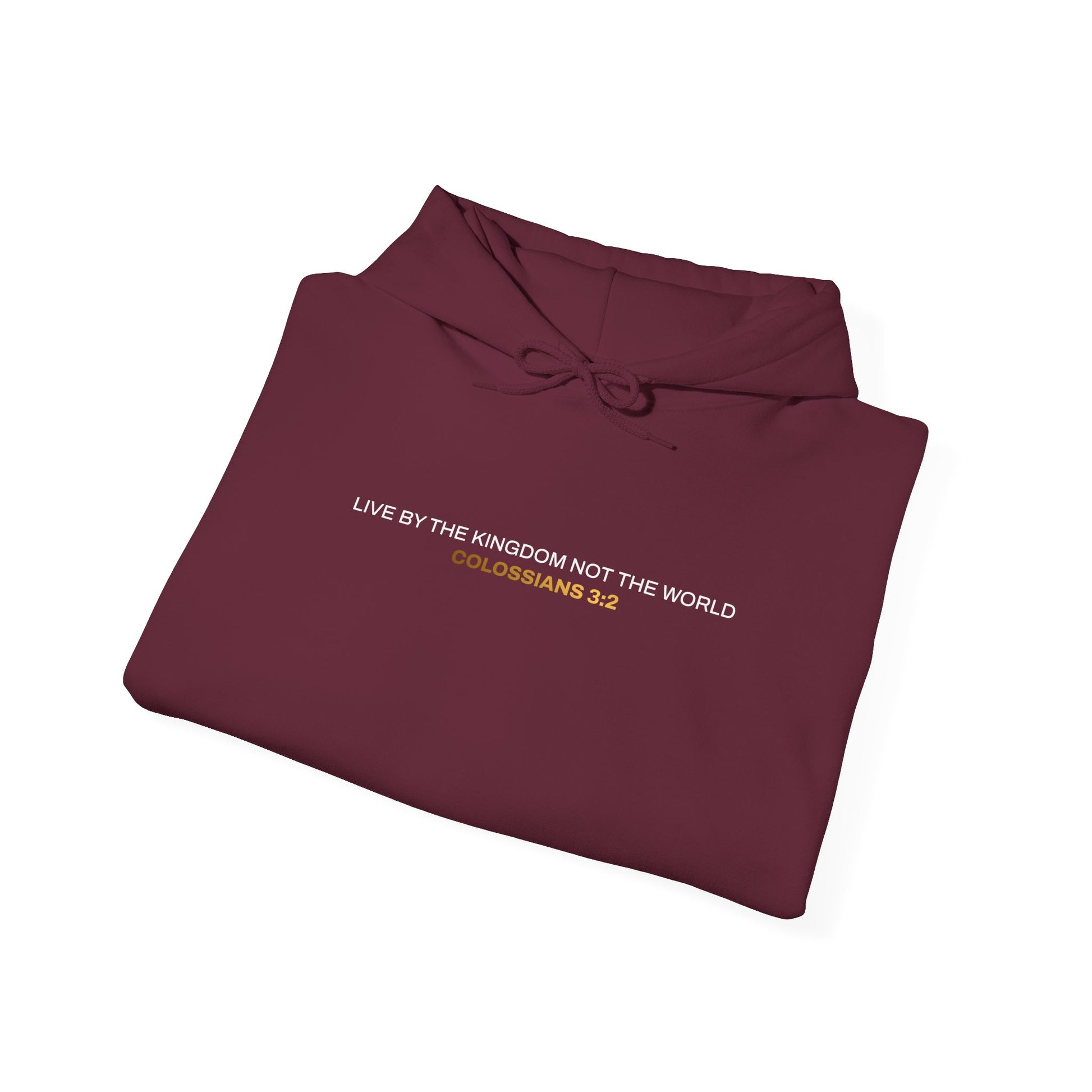 "Live By the Kingdom Not the World Colossians 3:2" Unisex Heavy Blend™ Hoodies - The Shield of Light