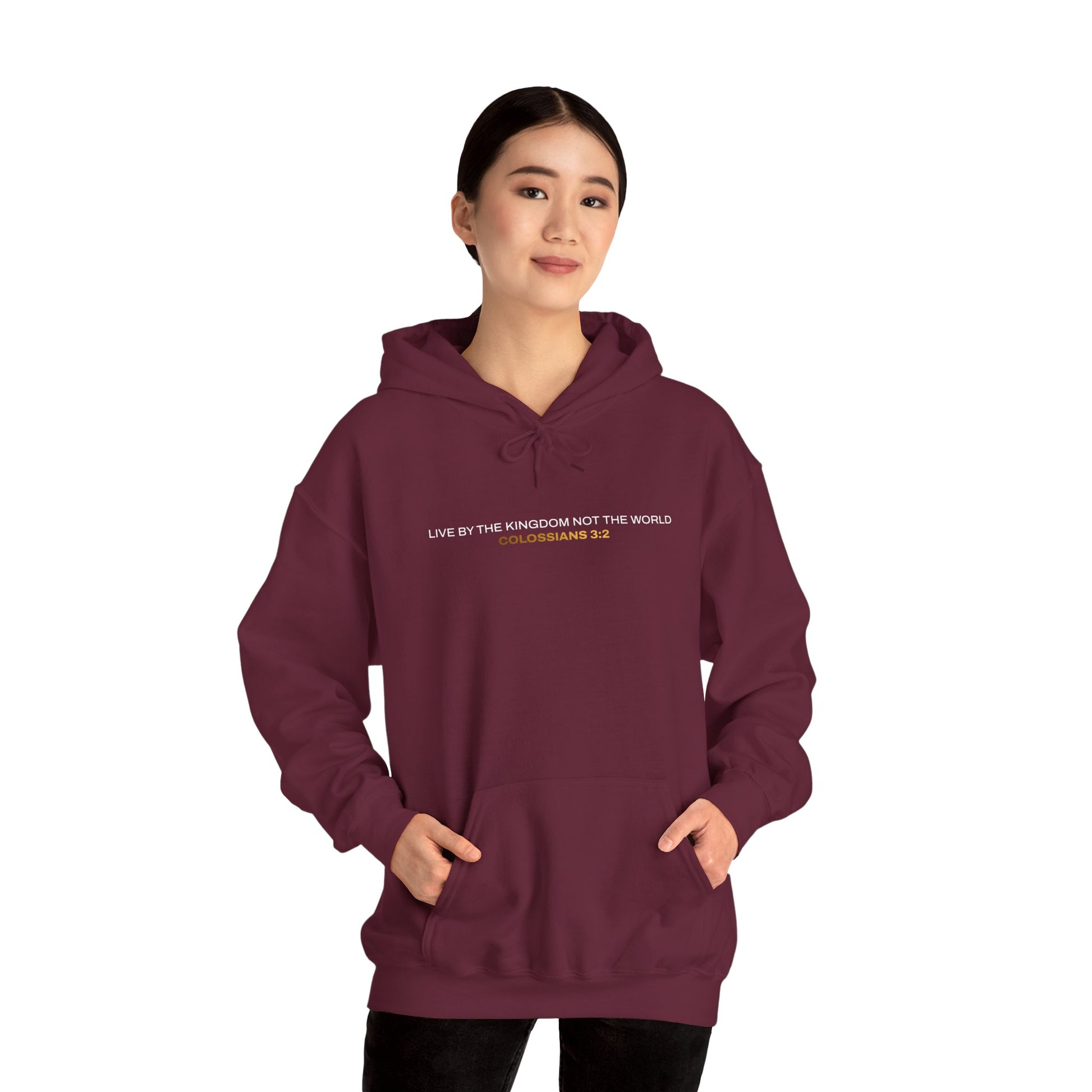 "Live By the Kingdom Not the World Colossians 3:2" Unisex Heavy Blend™ Hoodies - The Shield of Light