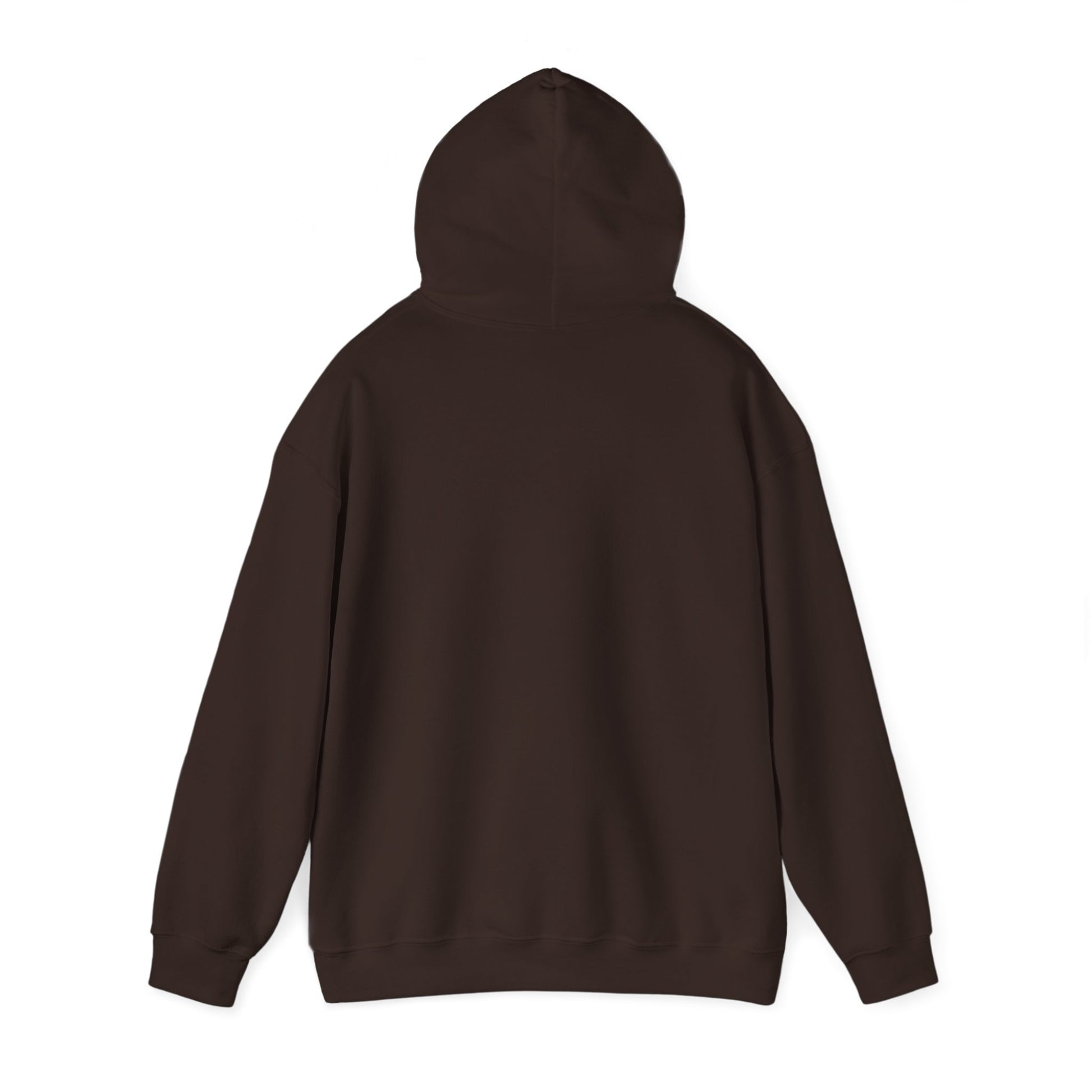 "Live By the Kingdom Not the World Colossians 3:2" Unisex Heavy Blend™ Hoodies - The Shield of Light
