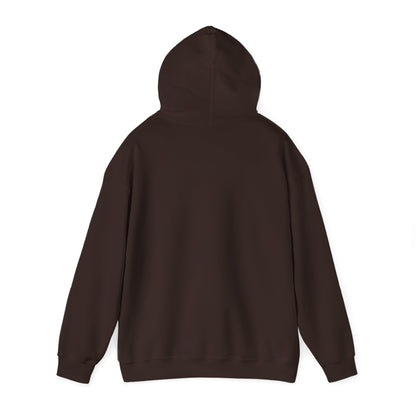 "Live By the Kingdom Not the World Colossians 3:2" Unisex Heavy Blend™ Hoodies - The Shield of Light