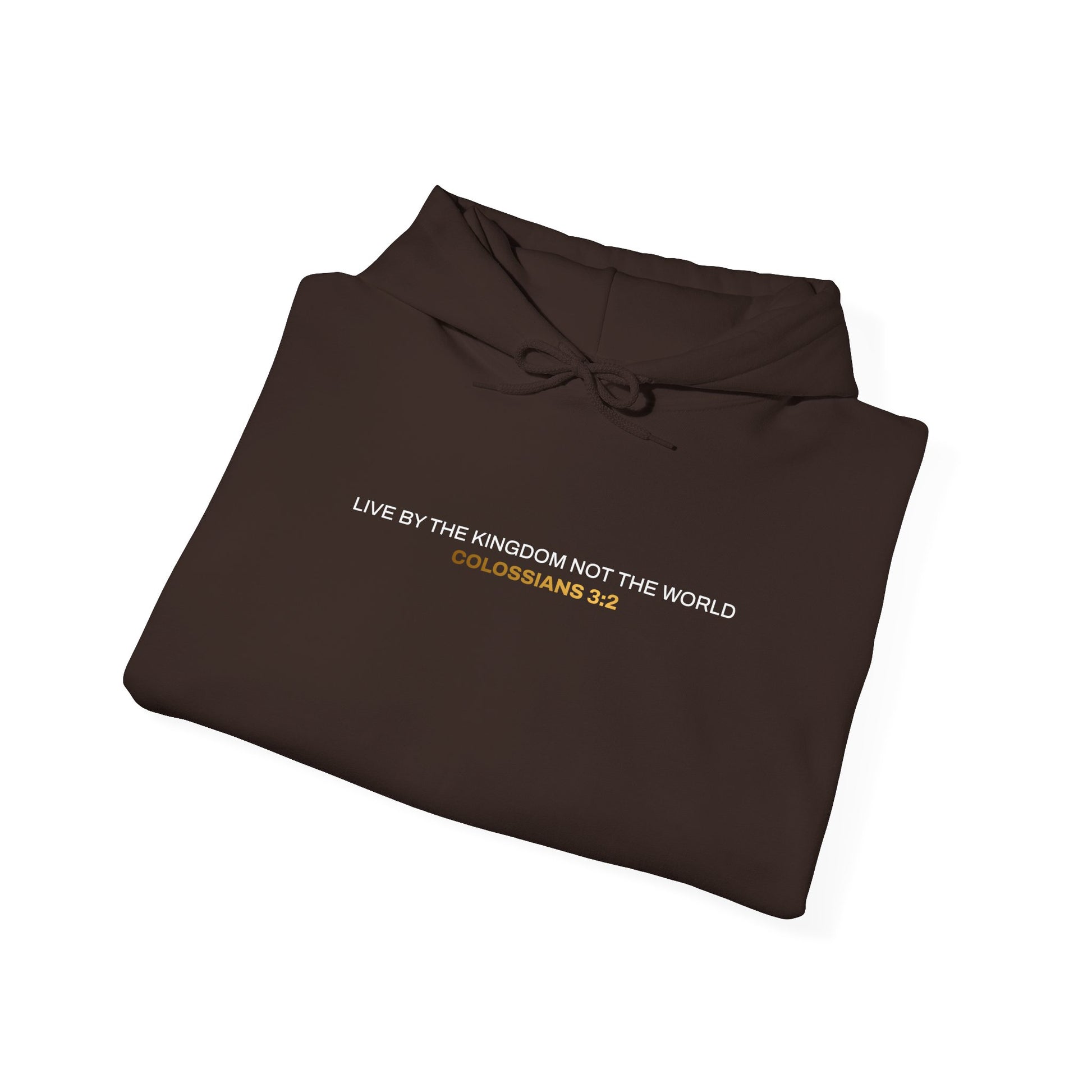 "Live By the Kingdom Not the World Colossians 3:2" Unisex Heavy Blend™ Hoodies - The Shield of Light