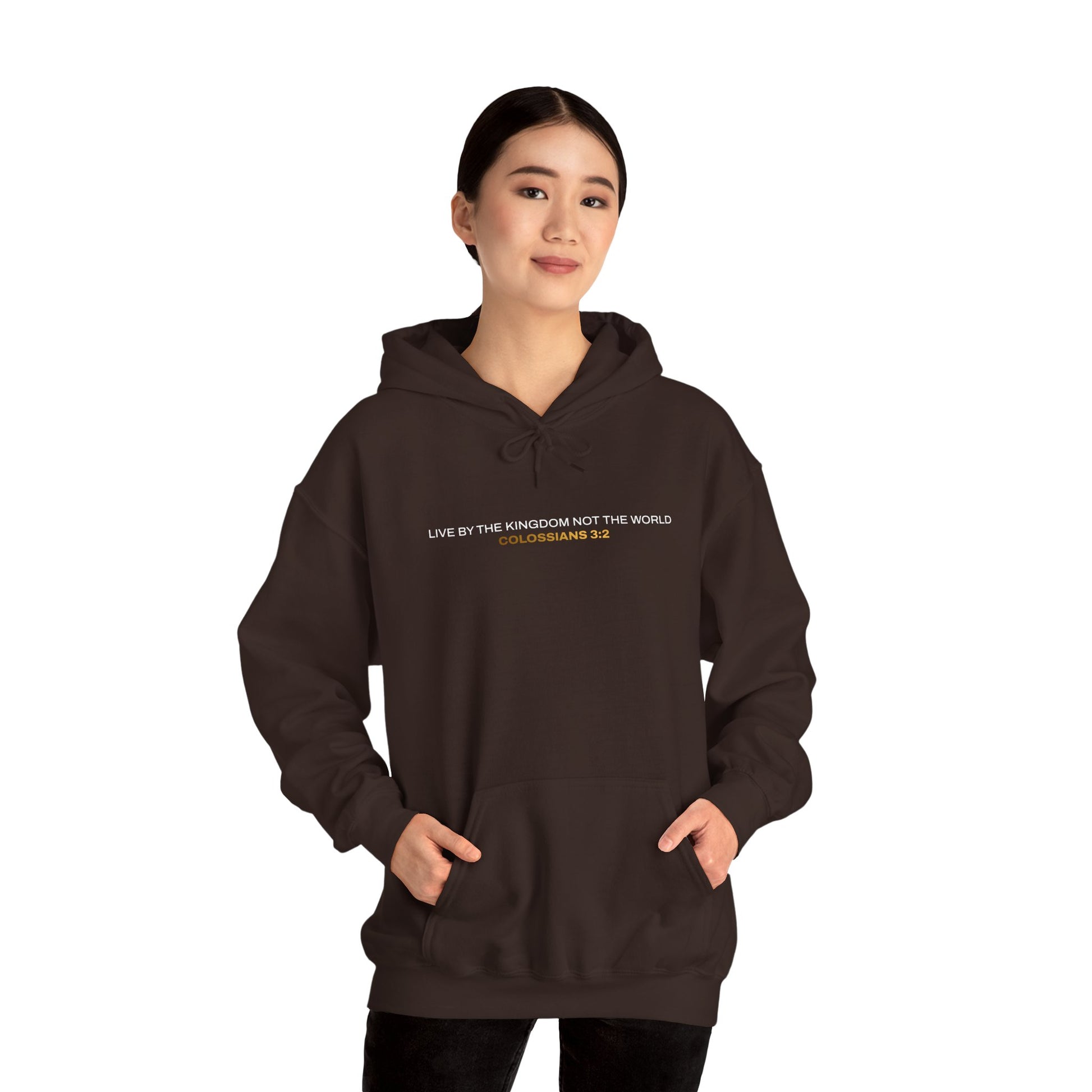 "Live By the Kingdom Not the World Colossians 3:2" Unisex Heavy Blend™ Hoodies - The Shield of Light