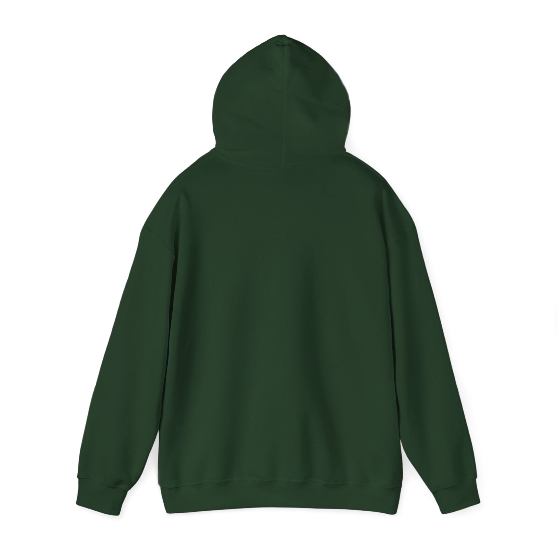 "Live By the Kingdom Not the World Colossians 3:2" Unisex Heavy Blend™ Hoodies - The Shield of Light