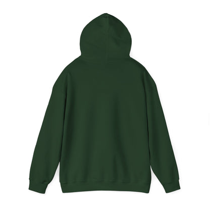 "Live By the Kingdom Not the World Colossians 3:2" Unisex Heavy Blend™ Hoodies - The Shield of Light