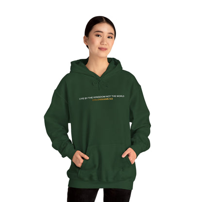 "Live By the Kingdom Not the World Colossians 3:2" Unisex Heavy Blend™ Hoodies - The Shield of Light