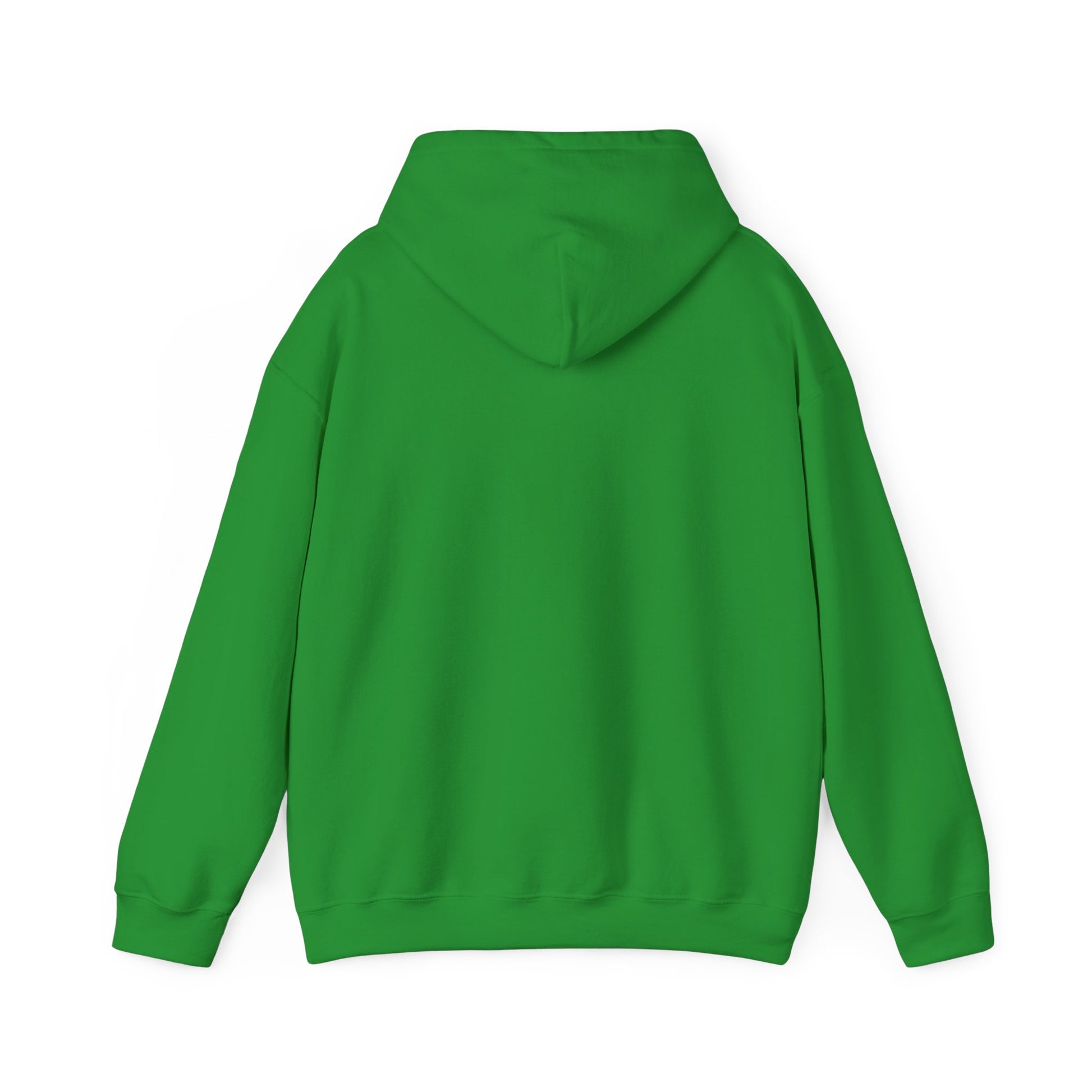 "Live By the Kingdom Not the World Colossians 3:2" Unisex Heavy Blend™ Hoodies - The Shield of Light