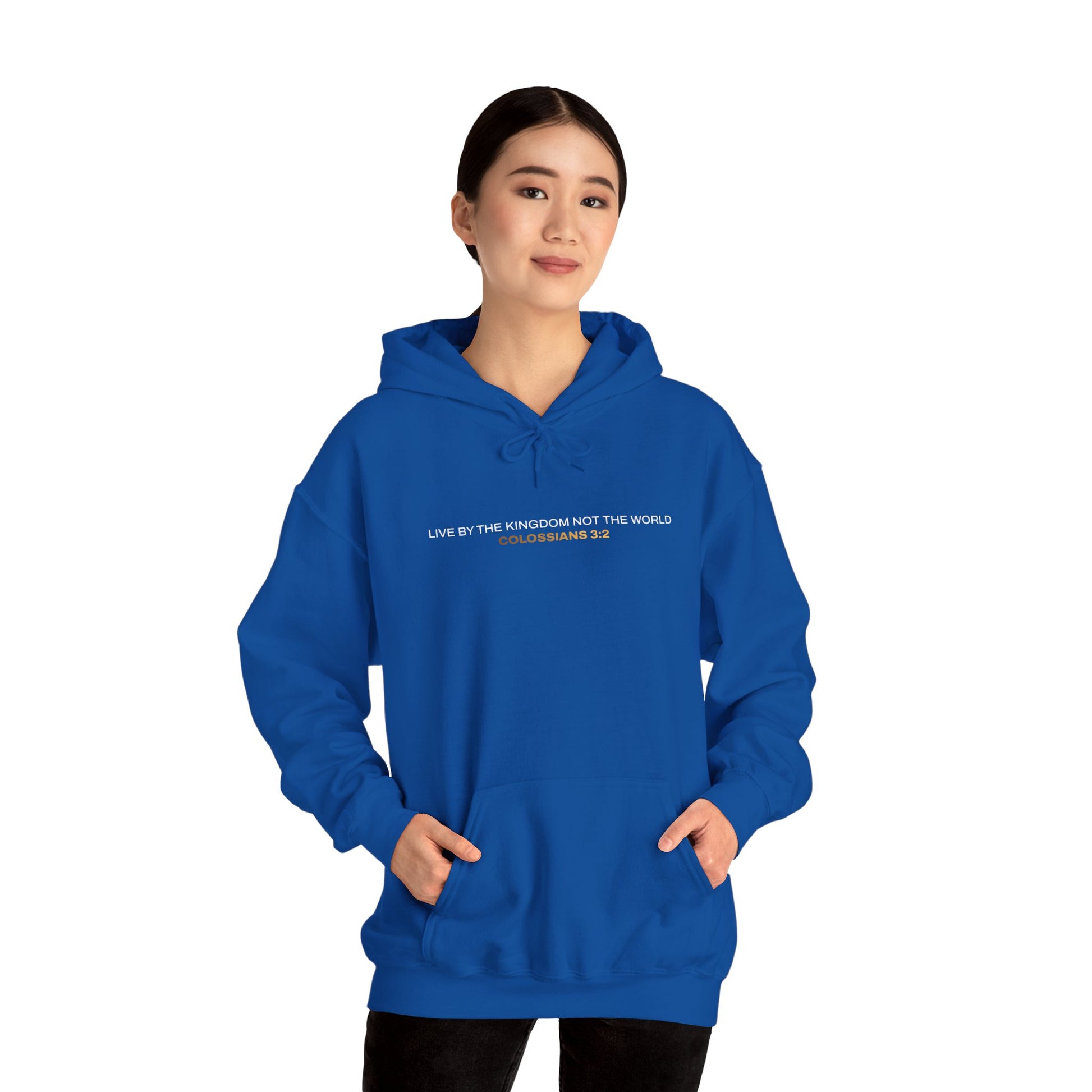"Live By the Kingdom Not the World Colossians 3:2" Unisex Heavy Blend™ Hoodies - The Shield of Light