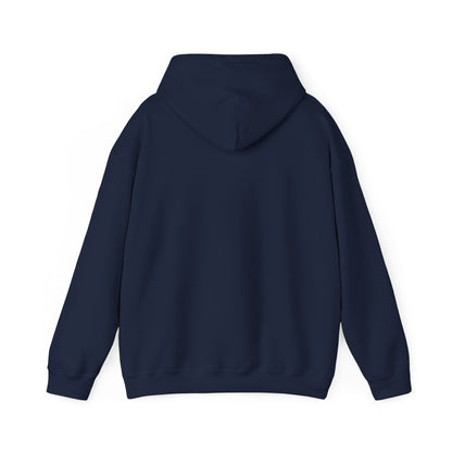 "Live By the Kingdom Not the World Colossians 3:2" Unisex Heavy Blend™ Hoodies - The Shield of Light