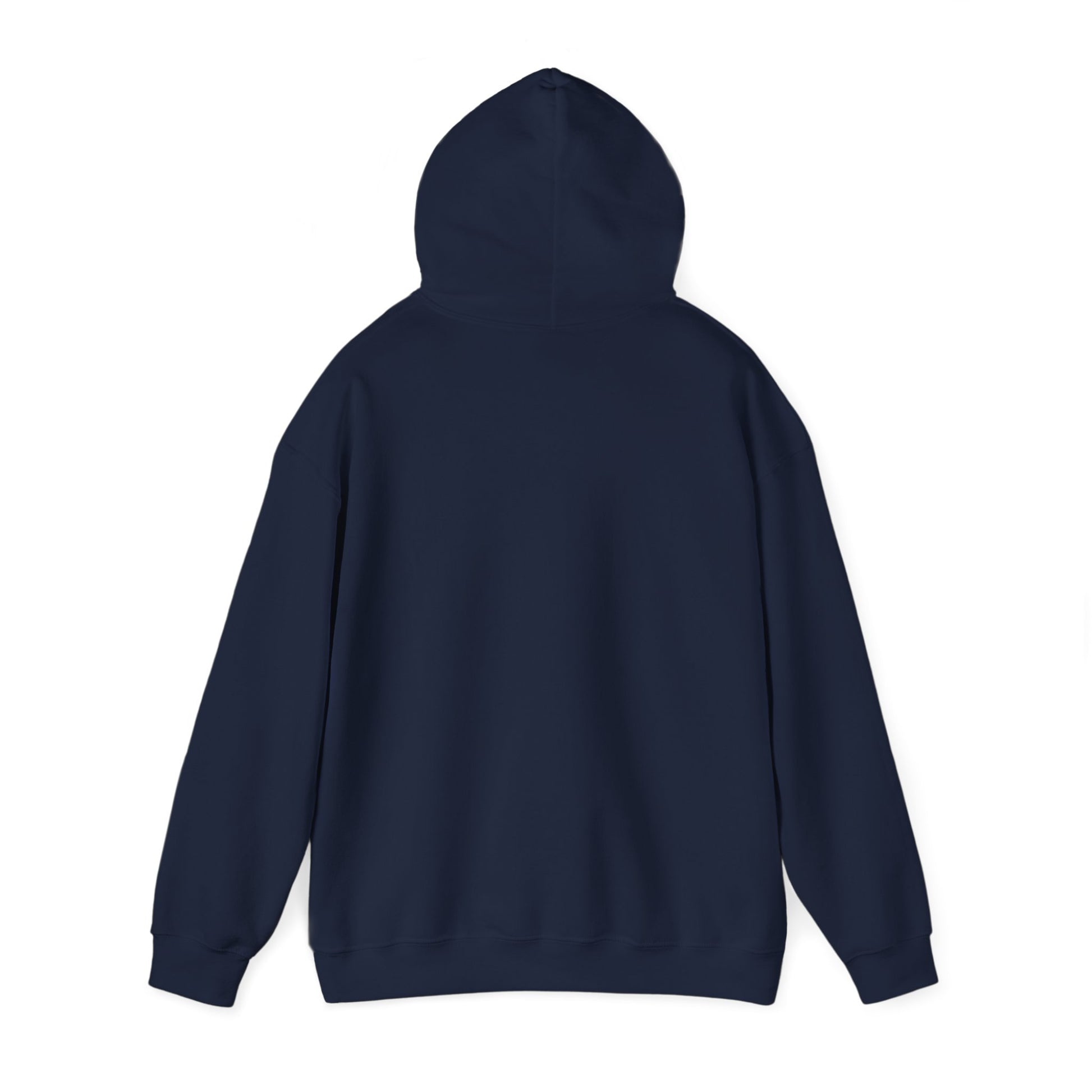 "Live By the Kingdom Not the World Colossians 3:2" Unisex Heavy Blend™ Hoodies - The Shield of Light