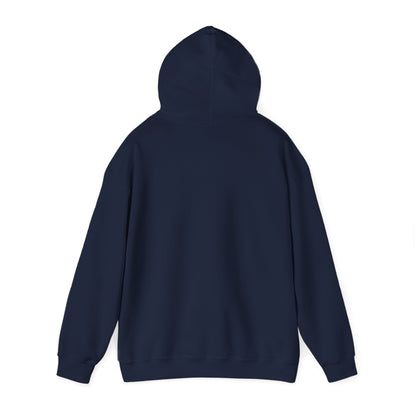 "Live By the Kingdom Not the World Colossians 3:2" Unisex Heavy Blend™ Hoodies - The Shield of Light
