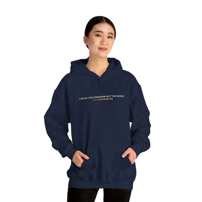 "Live By the Kingdom Not the World Colossians 3:2" Unisex Heavy Blend™ Hoodies - The Shield of Light