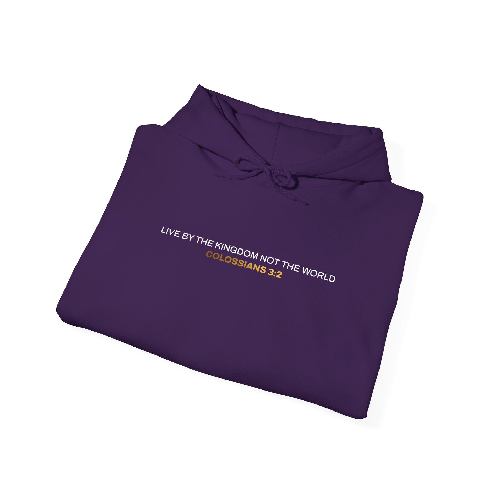 "Live By the Kingdom Not the World Colossians 3:2" Unisex Heavy Blend™ Hoodies - The Shield of Light