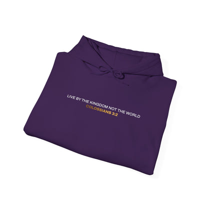"Live By the Kingdom Not the World Colossians 3:2" Unisex Heavy Blend™ Hoodies - The Shield of Light
