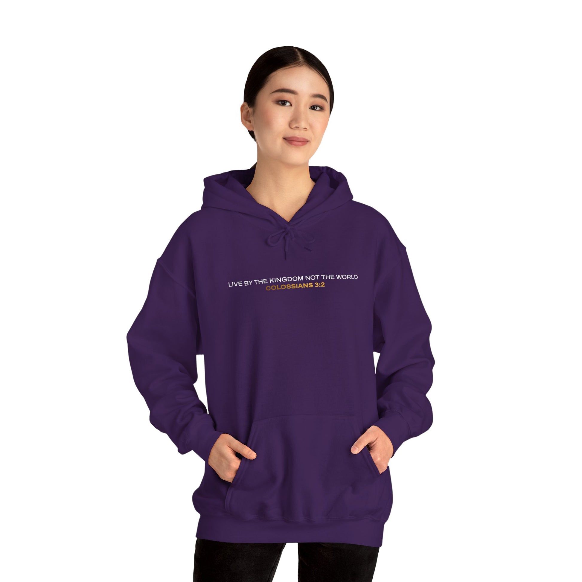 "Live By the Kingdom Not the World Colossians 3:2" Unisex Heavy Blend™ Hoodies - The Shield of Light