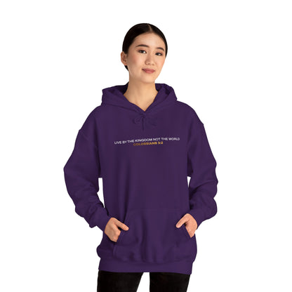 "Live By the Kingdom Not the World Colossians 3:2" Unisex Heavy Blend™ Hoodies - The Shield of Light