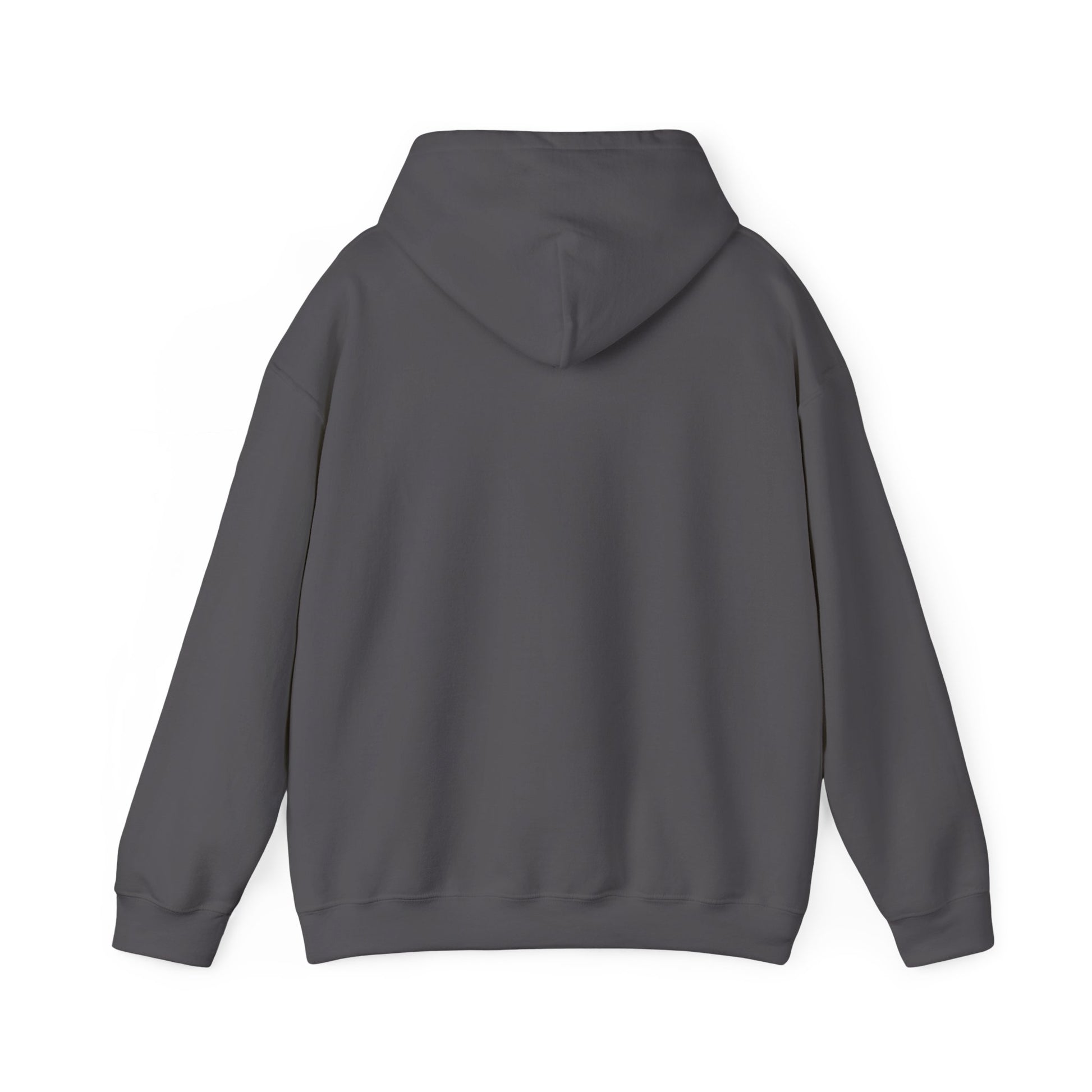 "Live By the Kingdom Not the World Colossians 3:2" Unisex Heavy Blend™ Hoodies - The Shield of Light