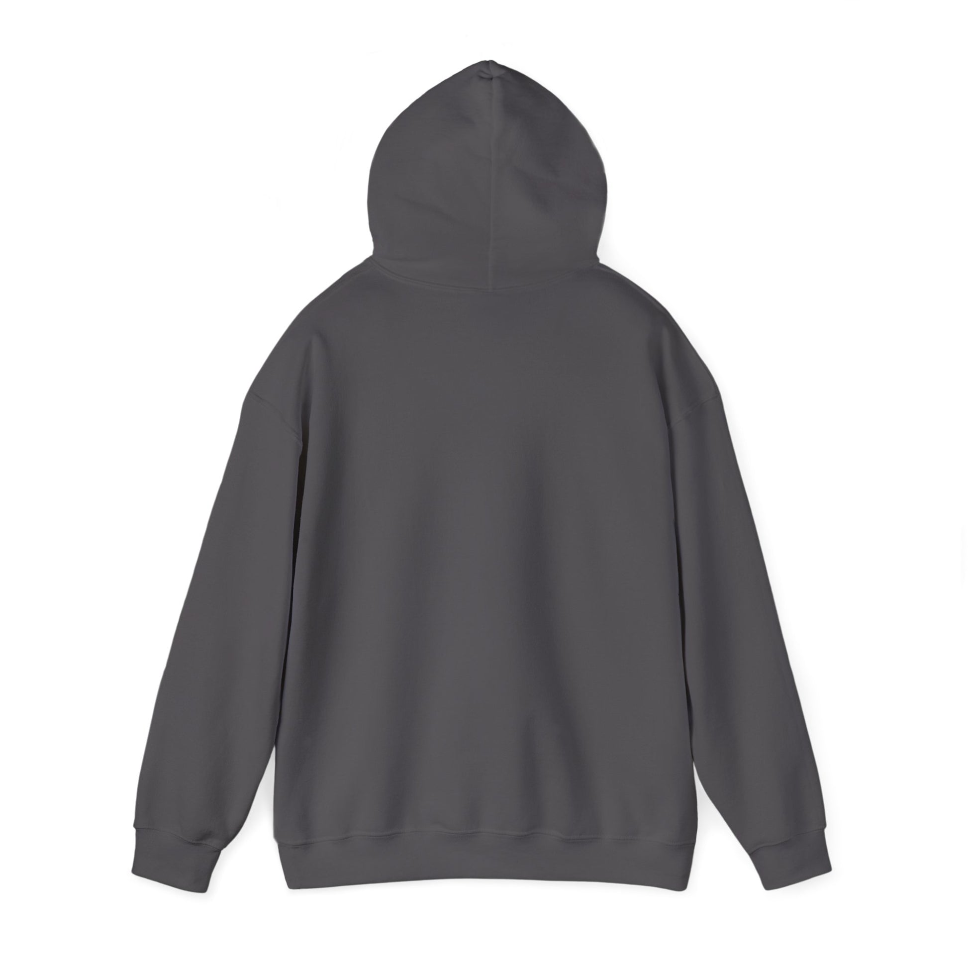 "Live By the Kingdom Not the World Colossians 3:2" Unisex Heavy Blend™ Hoodies - The Shield of Light