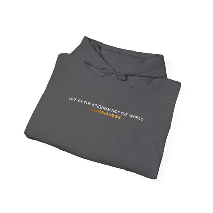 "Live By the Kingdom Not the World Colossians 3:2" Unisex Heavy Blend™ Hoodies - The Shield of Light