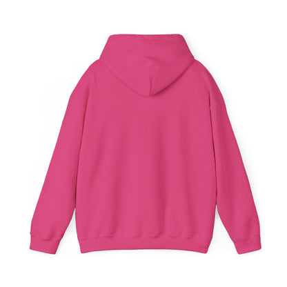 "Live By the Kingdom Not the World Colossians 3:2" Unisex Heavy Blend™ Hoodies - The Shield of Light